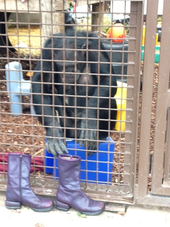 web_Jamie_sit_bench_groom_new_purple_boots_GH_kh_IMG_2182