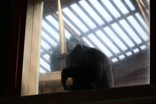web_Missy_watch_cleaning_closeup_window_gh_aw_IMG_0304