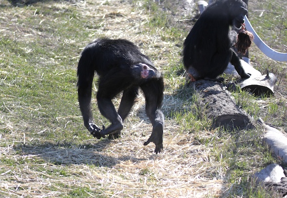 web_annie_run_yh_feet_off_ground_kd_IMG_9681