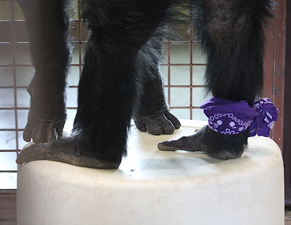 web_jamie_stand_barrel_bandana_around_ankle_kd_IMG_7757