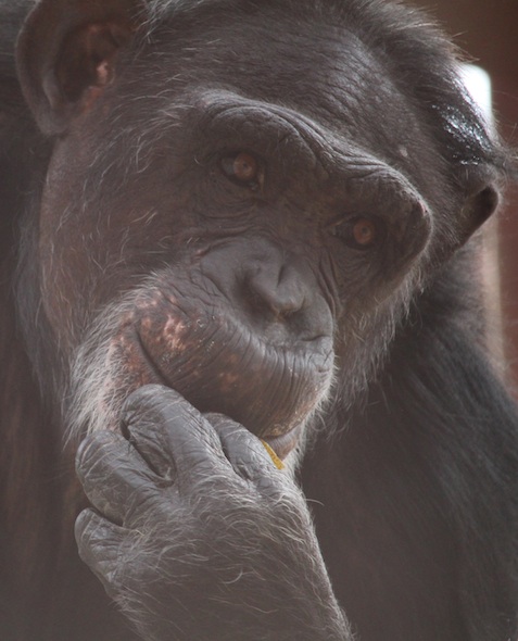 web_Jamie_closeup_eat_chow_GH_kh_IMG_2368