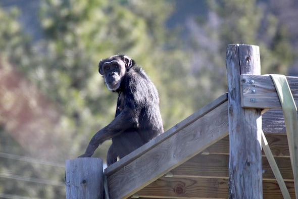 web_Jody_sit_platform_yh_aw_IMG_0810
