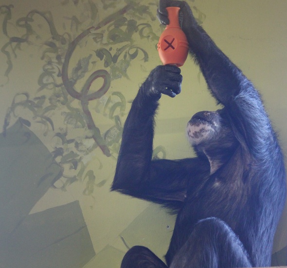 web_Missy_hold_kong_over_head_look_up_catwalk_PR_kh_IMG_0449