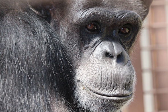 web_Annie_close_up_look_at_camera_GH_ek_IMG_2763