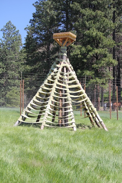 web_TWISTER_new_structure_IMG_2165