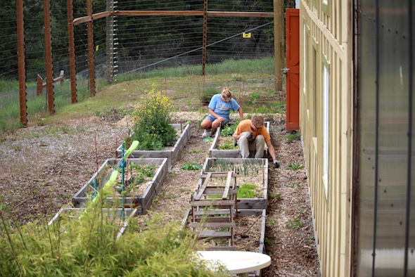 web_Yuri_Denice_gardening_aw_IMG_2880