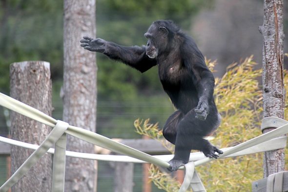 web_jamie_tightrope_I_kd_IMG_0538