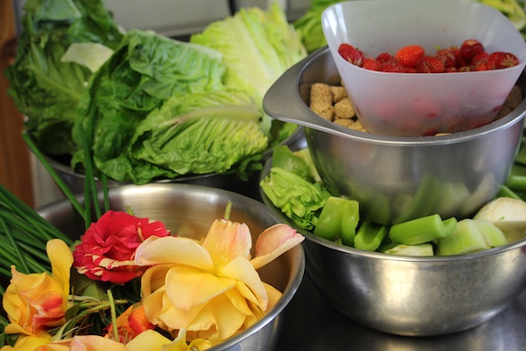 web_lunch_forage_ek_IMG_3058