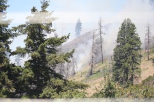 hillside smoke