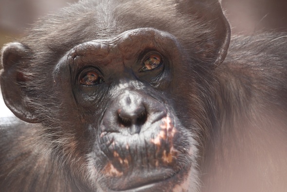 web_Missy_closeup_face_GH_kh_IMG_4495