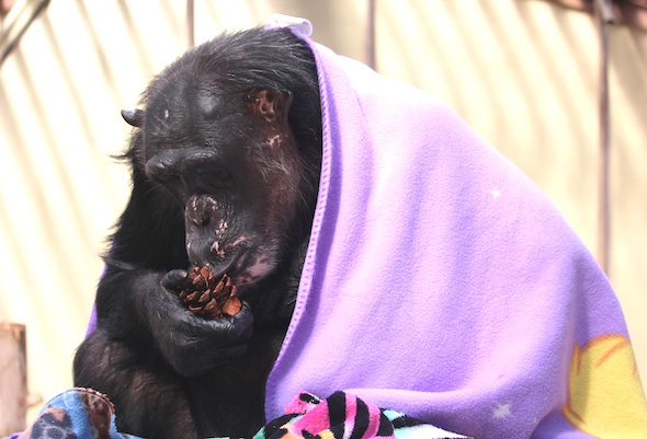 web_Negra_sit_pinecone_lips_purple_blanket_structure_gh_dg_IMG_5150