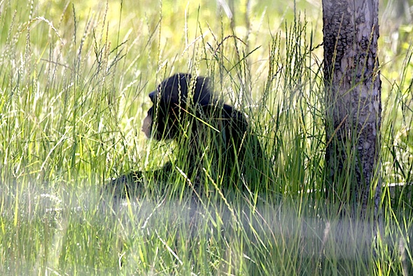 web_jamie_profile_hidden_in_grass_kd_IMG_4270