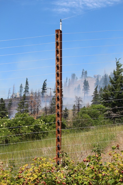 web_sprinkler_chimp_house_fire_2016_IMG_4033
