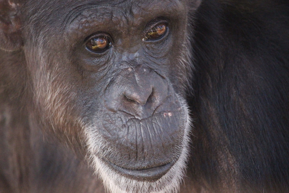 web_Jody_closeup_face_look_out_GH_kh_IMG_5928