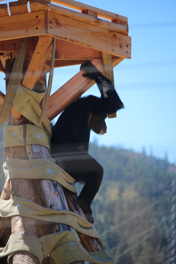 web_jamie_sit_under_crows_nest_watch_kd_IMG_6101