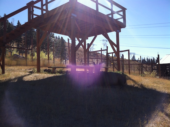 web_ellie_under_observation_deck_ek_photo-3-7