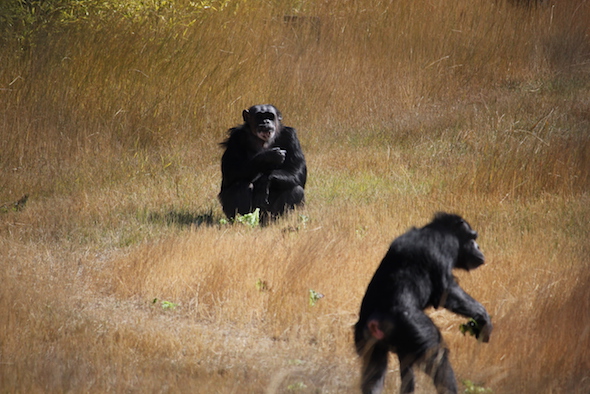 web_negra_annie_forage_napsa_visit_img_7352
