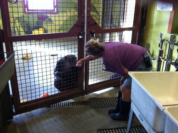 web_negra_kiss_volunteer_denice_ek_photo-5-7