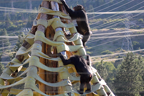web_jamie_and_missy_climb_twister_kd_IMG_4555