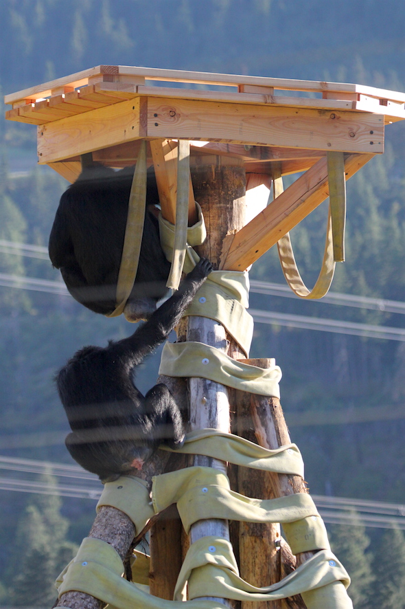 web_jamie_under_crows_nest_missy_climb_up_kd_IMG_4566