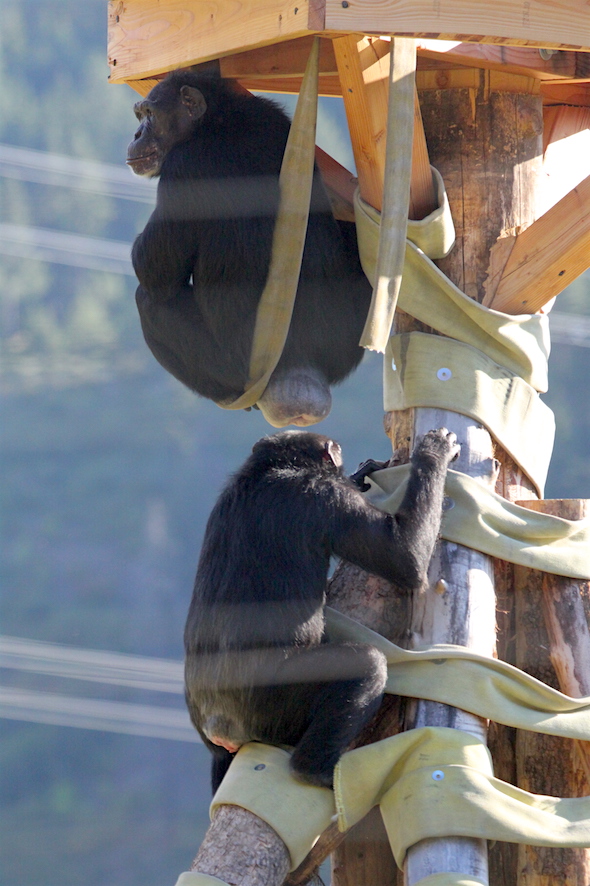 web_jamie_under_crows_nest_profile_missy_hold_on_under_kd_IMG_4563