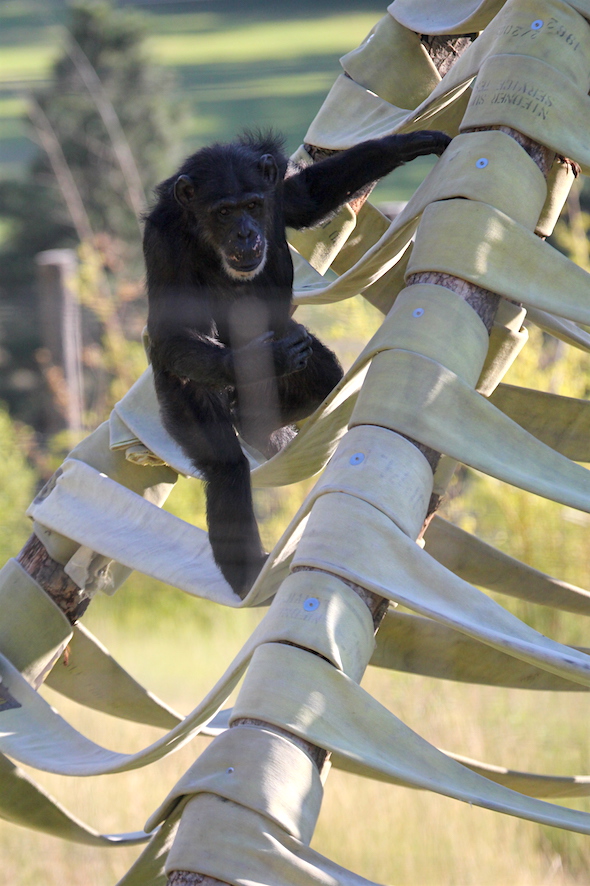 web_missy_climb_twister_look_camera_kd_IMG_4574