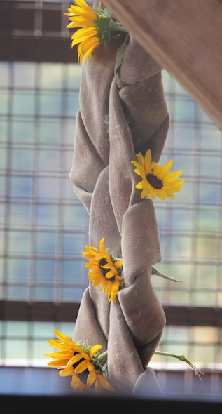 web_sunflowers_enrichment_in_firehose_braid_kh_gh_img_7057