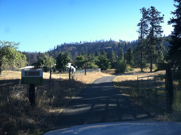web_view_up_driveway_morning_ek_photo-3-8