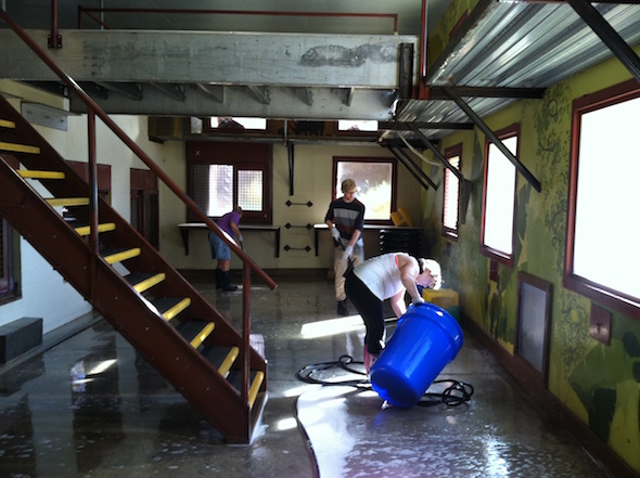 web_volunteers_denice_yuri_sandra_clean_pr_ek_photo-5-5