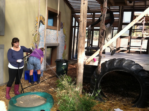 web_volunteers_sandra_denice_yuri_clean_gh_ek_photo-2-5