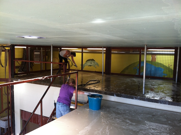 web_volunteers_sandra_denice_clean_loft_pr_ek_photo-2-7