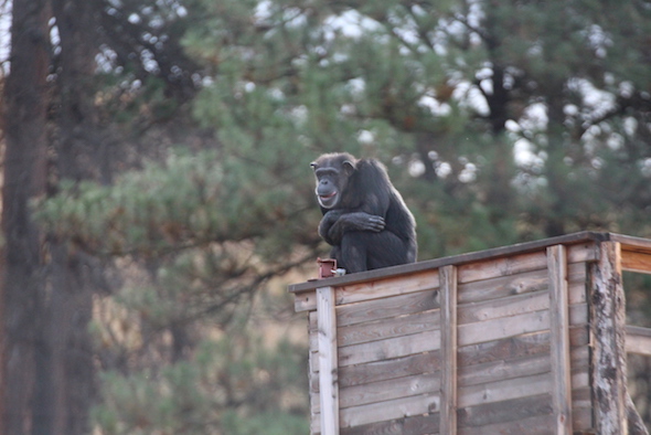 web_annie_sit_top_railing_lookout_yh_img_8090-copy