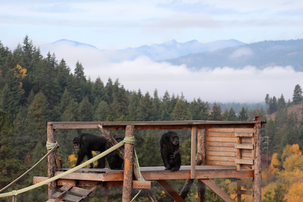 web_burrito_foxie_annie_fog_mountains_towers_yh_jb_img_8298-copy