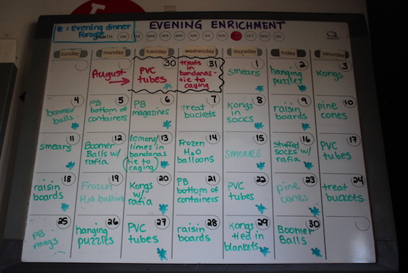 web_sept_2016_evening_enrichment_calendar_img_7435
