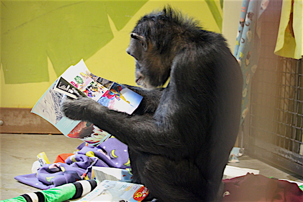 web_jamie_reading_magazine_kd_img_7797