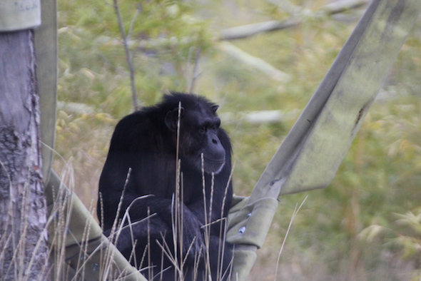 web_annie_hammock_yh_aw_img_8163-copy