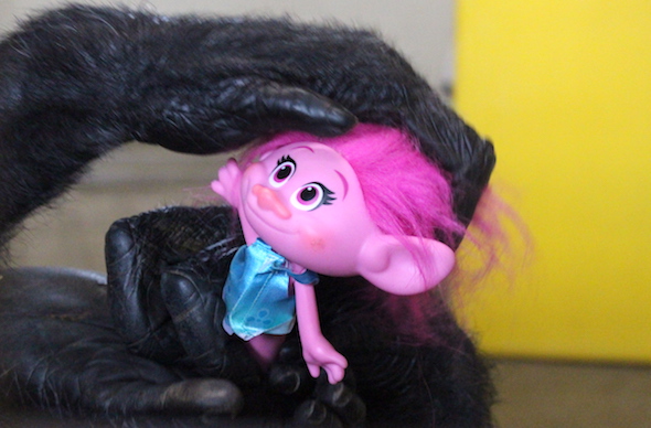 Foxie holding Poppy troll