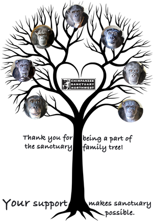 family tree