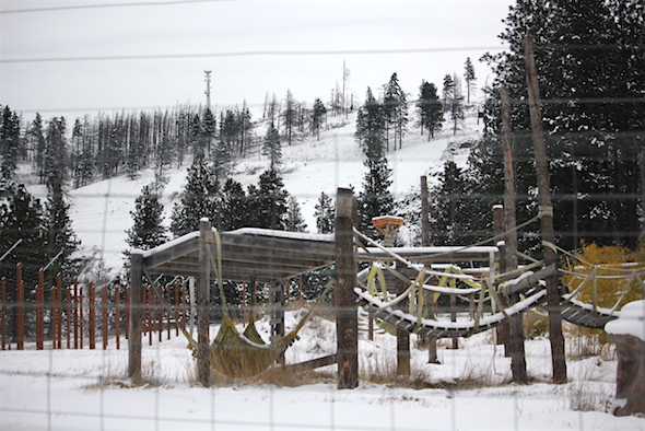 web_yh_in_snow_no_chimps_kd_img_0176