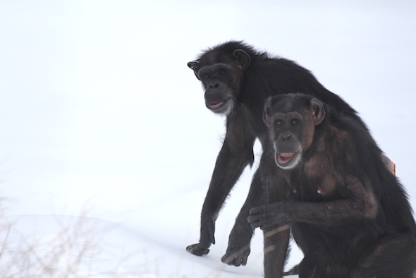 jody and annie in snow