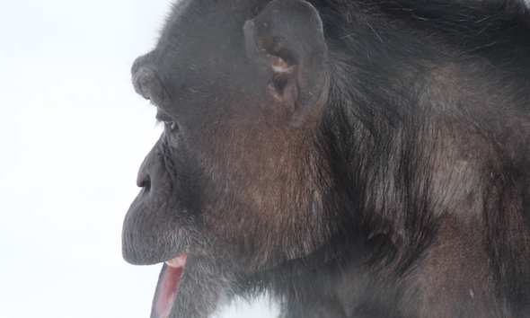 jody profile close-up