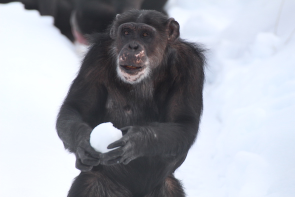 missy holding snow