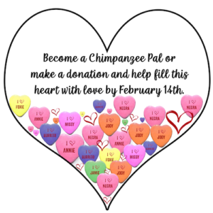 share the love heart