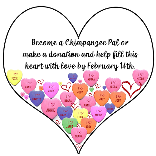 share the love heart