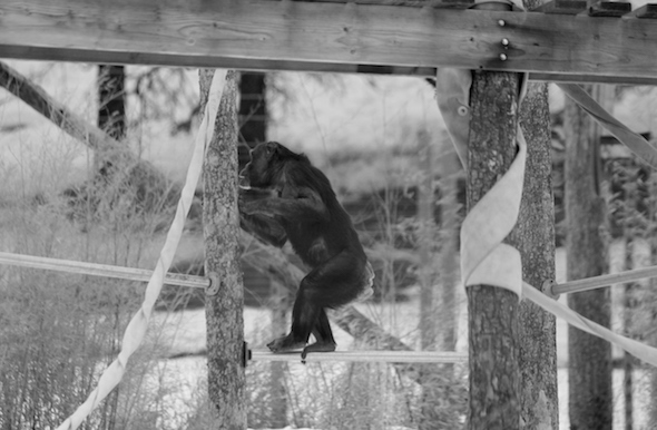 Jody standing on metal pole