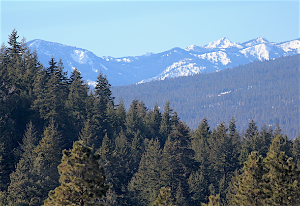 web_mountain_view_yh_kd_IMG_1924 copy