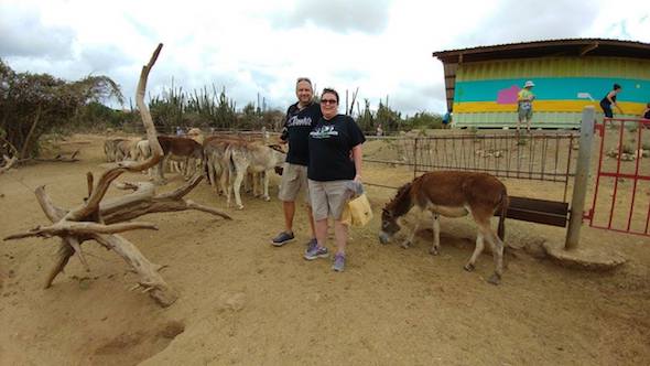 donkey sanctuary aruba