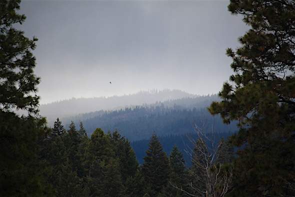 web_spring_storm_kd_IMG_6581 copy