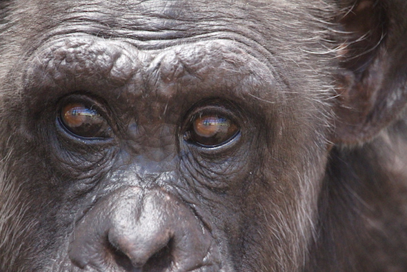 web_Jody_face_closeup_gh_aw_IMG_9182 copy