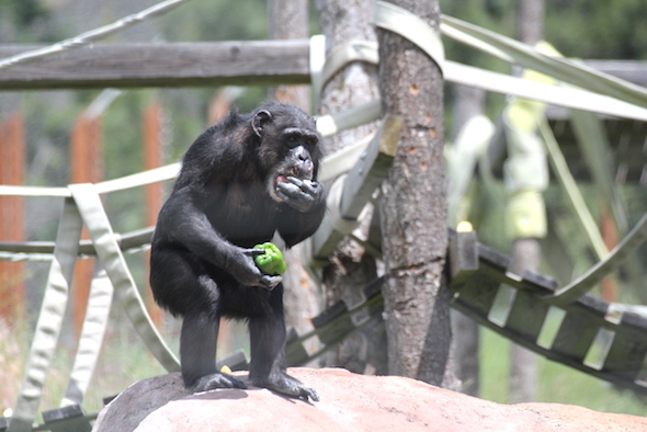 Missy putting food in mouth